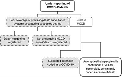 Adjusting Reported COVID-19 Deaths for the Prevailing Routine Death Surveillance in India